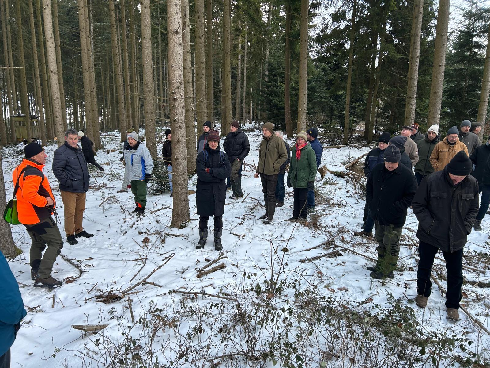 Waldbegehung 6.1.2026